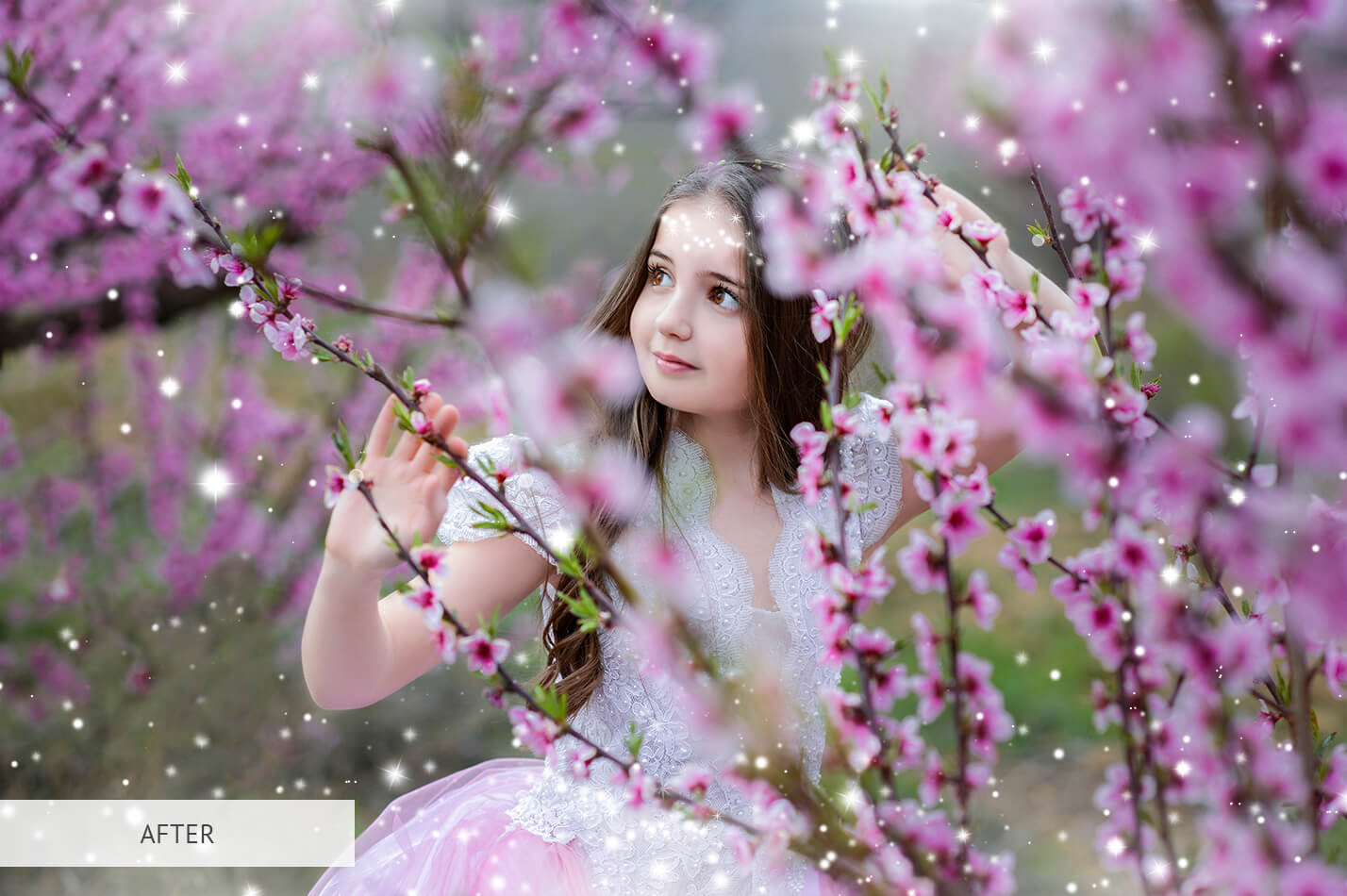 Free Sparkle Overlay Free Sparkle Overlays