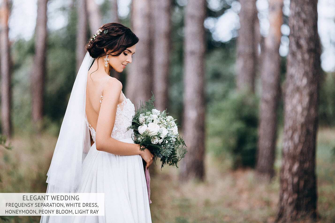 download free photoshop actions for wedding photography