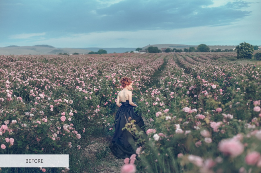 free photoshop plugins before after