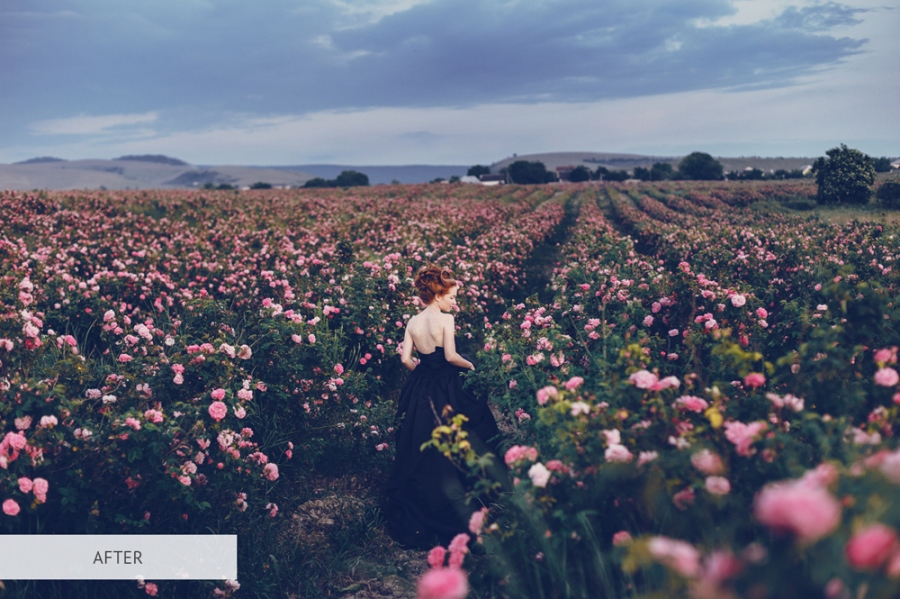 free photoshop plugins before after