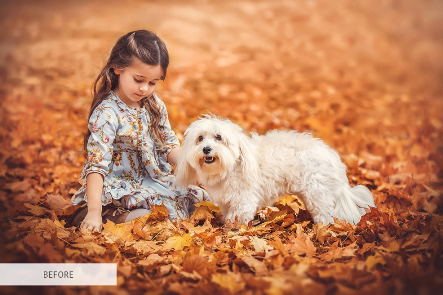 watermark in the bottom right corner