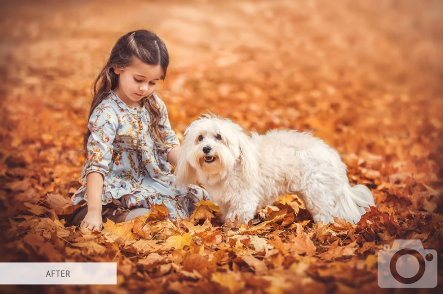 watermark in the bottom right corner