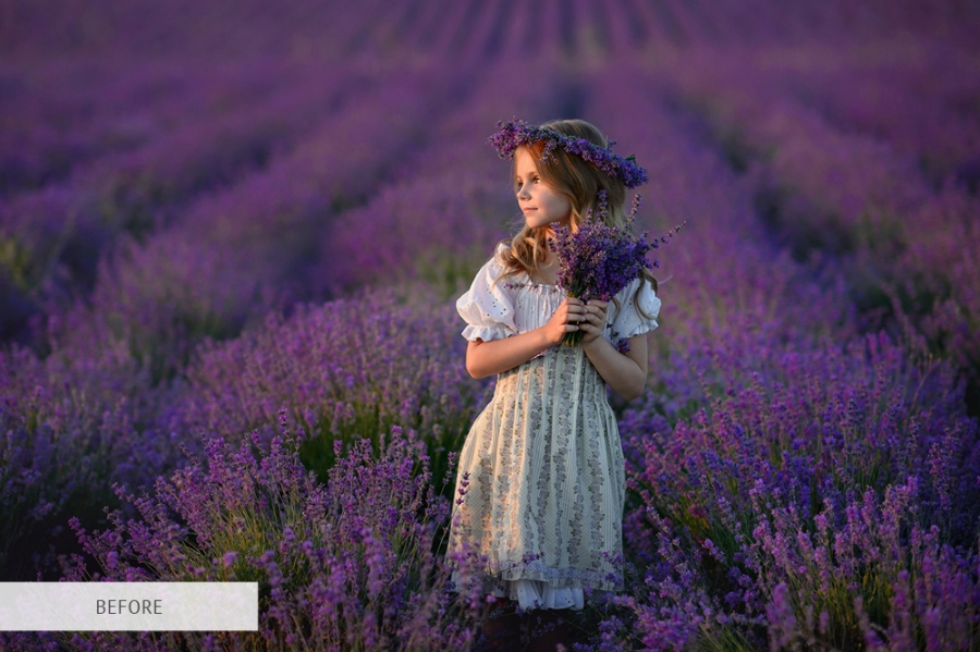 watermark in the center