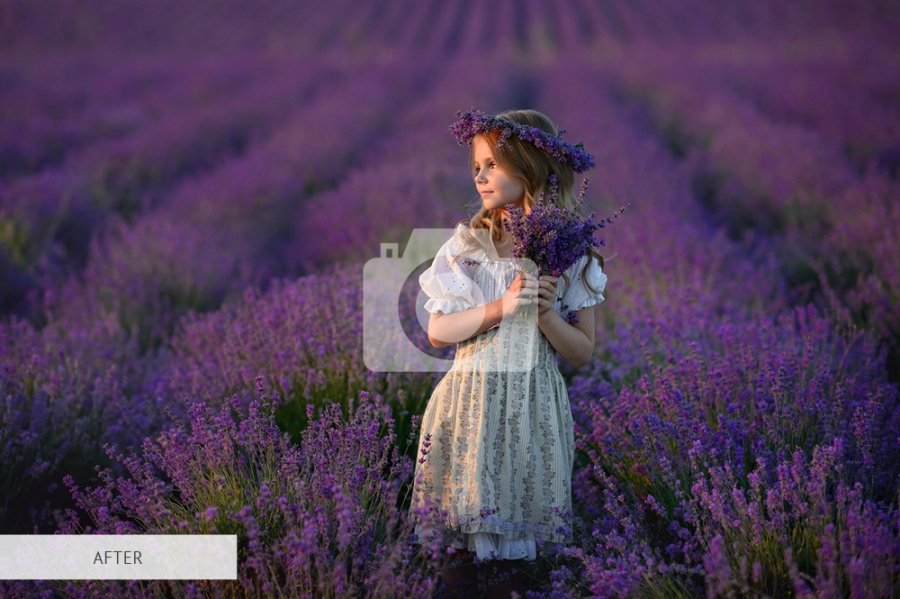 watermark in the center