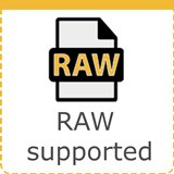 We do accept RAW images for retouching