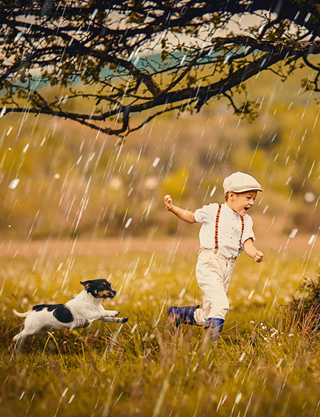 bildmanipulation online