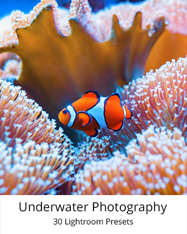 Premium Presets Collection