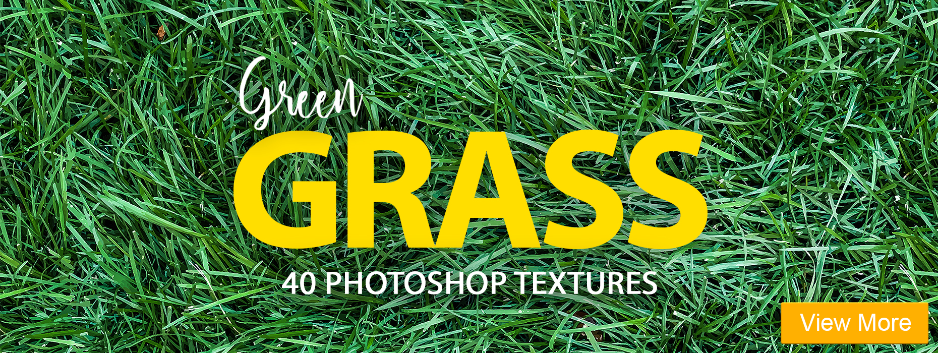 grass texture free photoshop vintage portrait lightroom presets banner girl