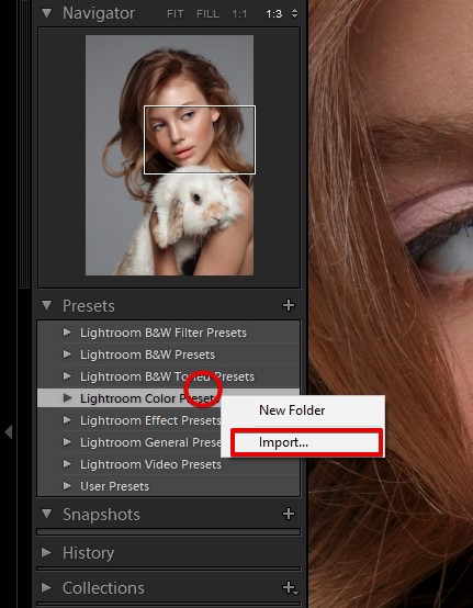 Lightroom portrait presets