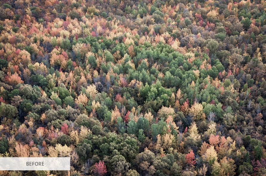 Free Lightroom Presets Download Lightroom Presets For Free Free lightroom presets download lightroom presets for free