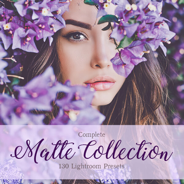 Catalog 1 Lightroom Presets