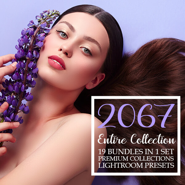 Catalog 1 Lightroom Presets