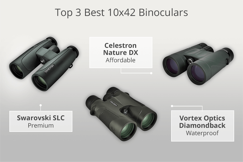 best 10 by 42 compact binoculars