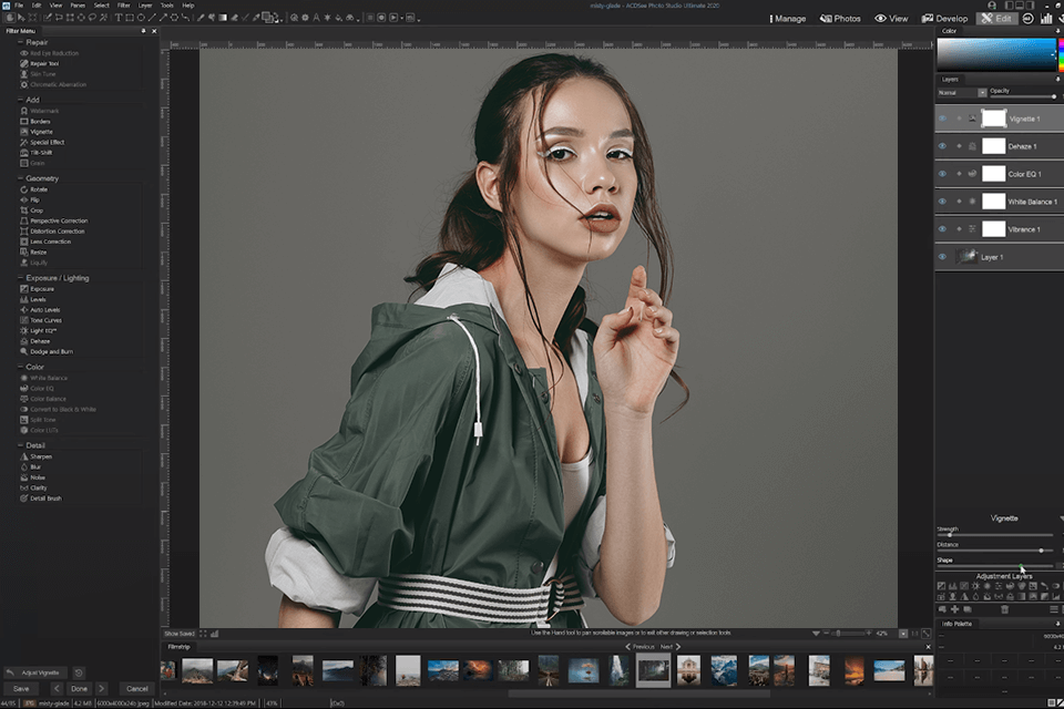 acdsee picasa alternative interface