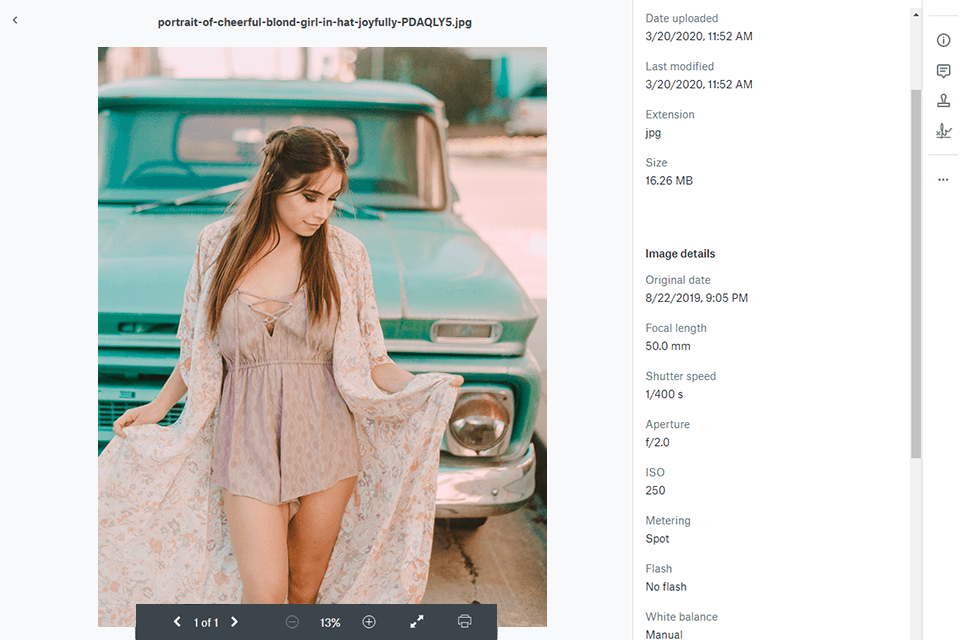 dropbox picasa alternative interface