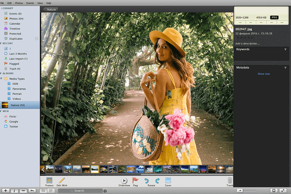 phototheca picasa alternative interface