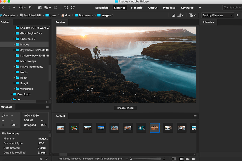 adobe bridge google photos alternative