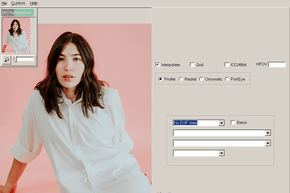 radcor software to correct lens distortion interface