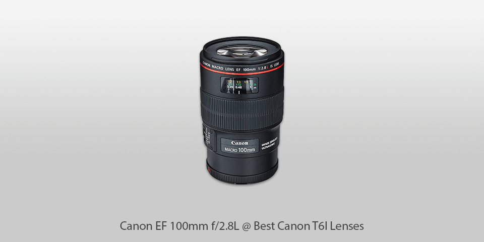 canon t6i lenses