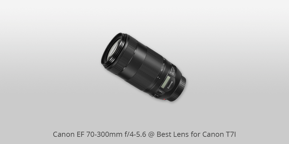 canon 70-300 mm lenses