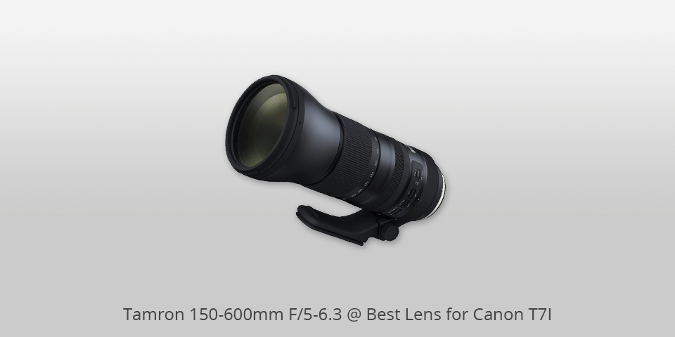 tamron lenses for canon