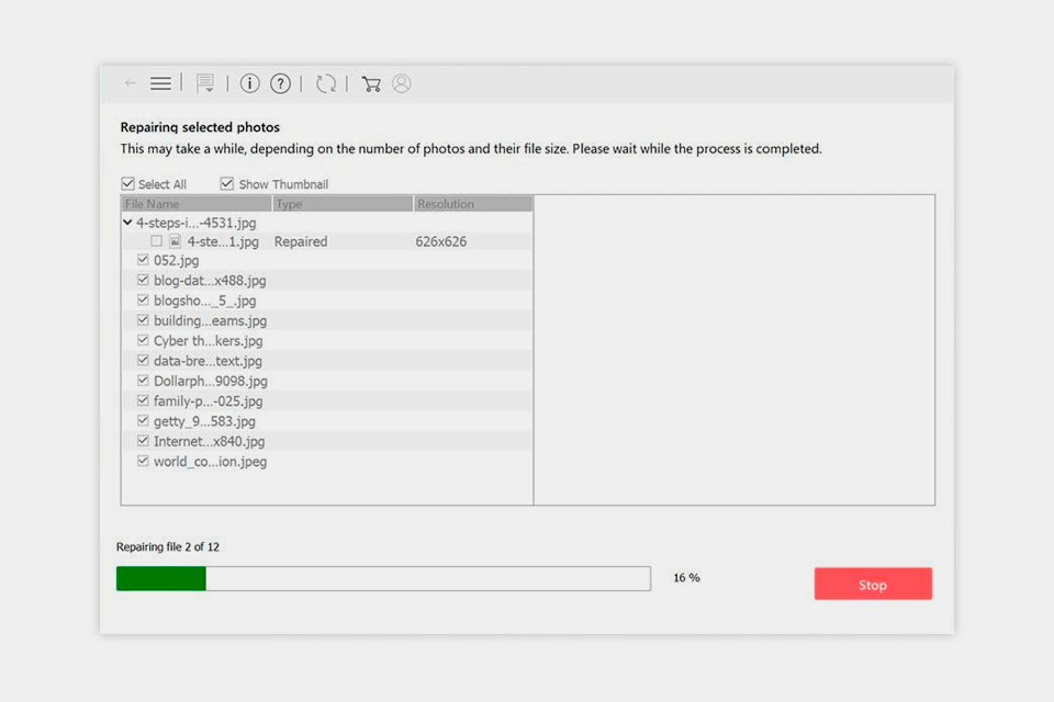 stellar software to repair corrupted jpg interface