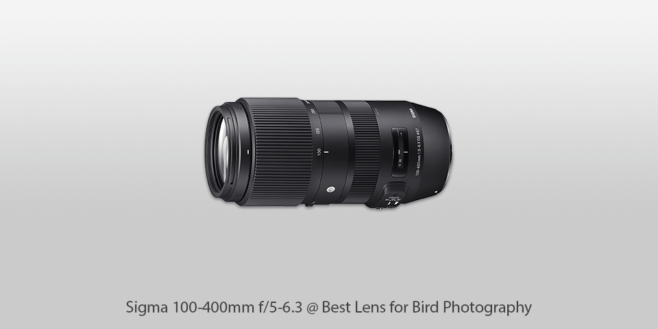 best lens for bird photography sigma 100-400mm f/5-6.3