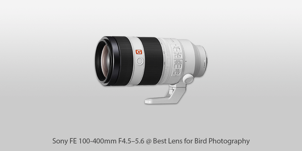 best lens for bird photography sony fe 100-400mm f4.5-5.6