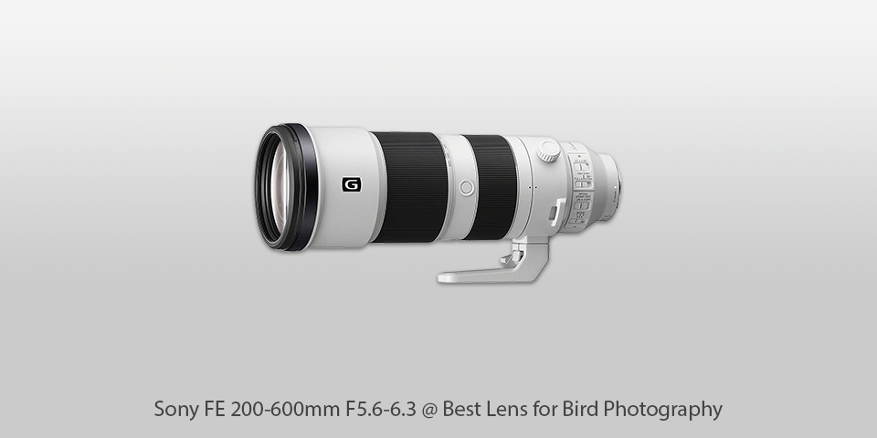 best lens for bird photography sony fe 200-600mm f5.6-6.3
