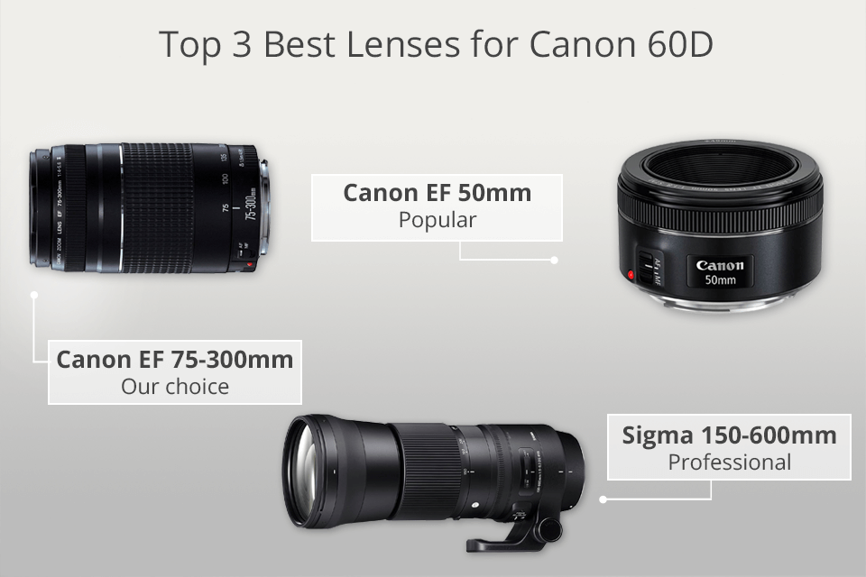 best lenses for canon 60d