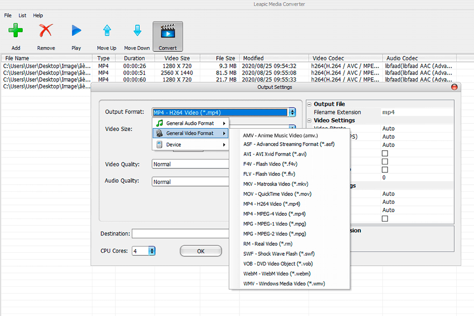 leapic media converter amv
