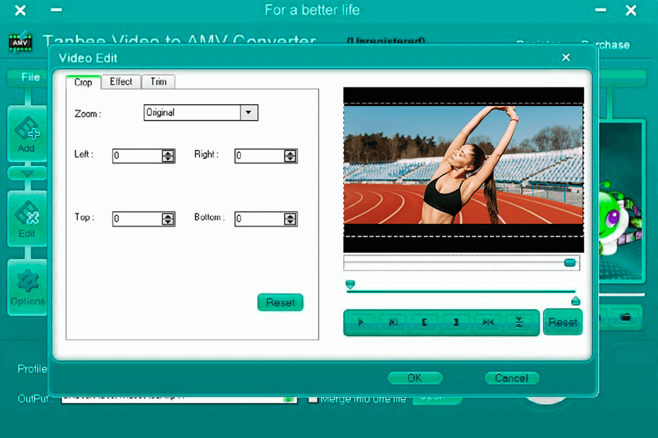 tanbee video to amv converter