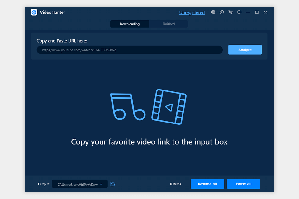 vidpaw videohunter tutorial