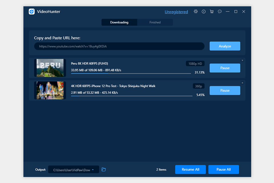 vidpaw videohunter review interface 