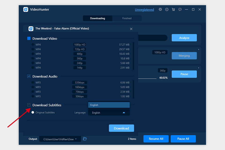vidpaw videohunter review interface subtitles