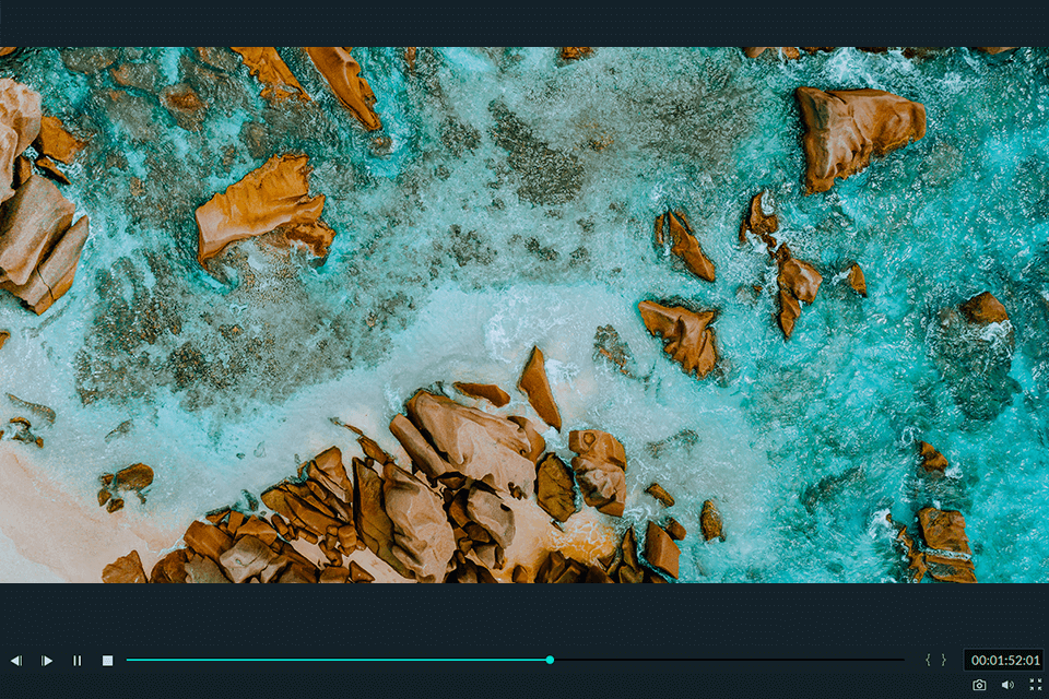 vidpaw editmyvid review