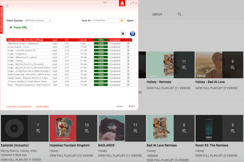download youtube playlist downloader interface