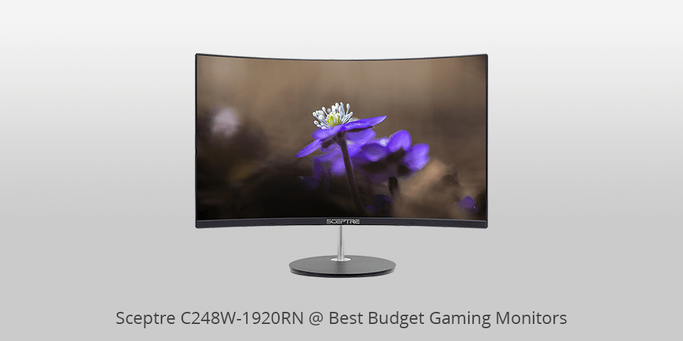 sceptre c248w-1920rn budget gaming monitor