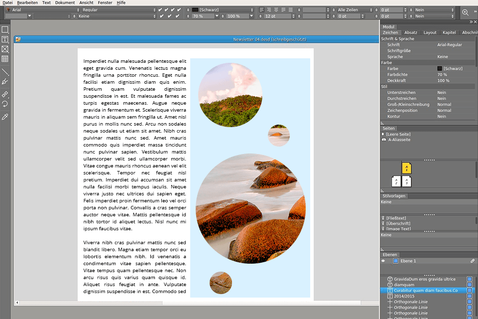 vivadesigner for linux interface