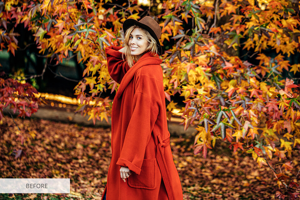 enhancing a photo blurring the background