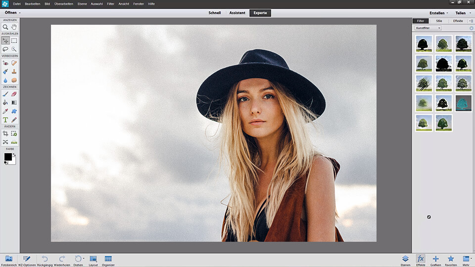 interface von photoshop elements