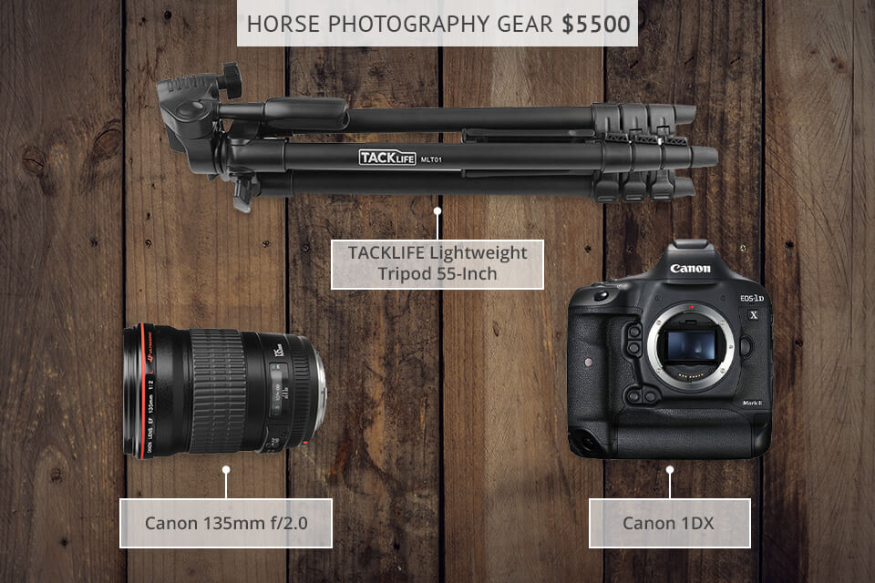 horse riding photography settings