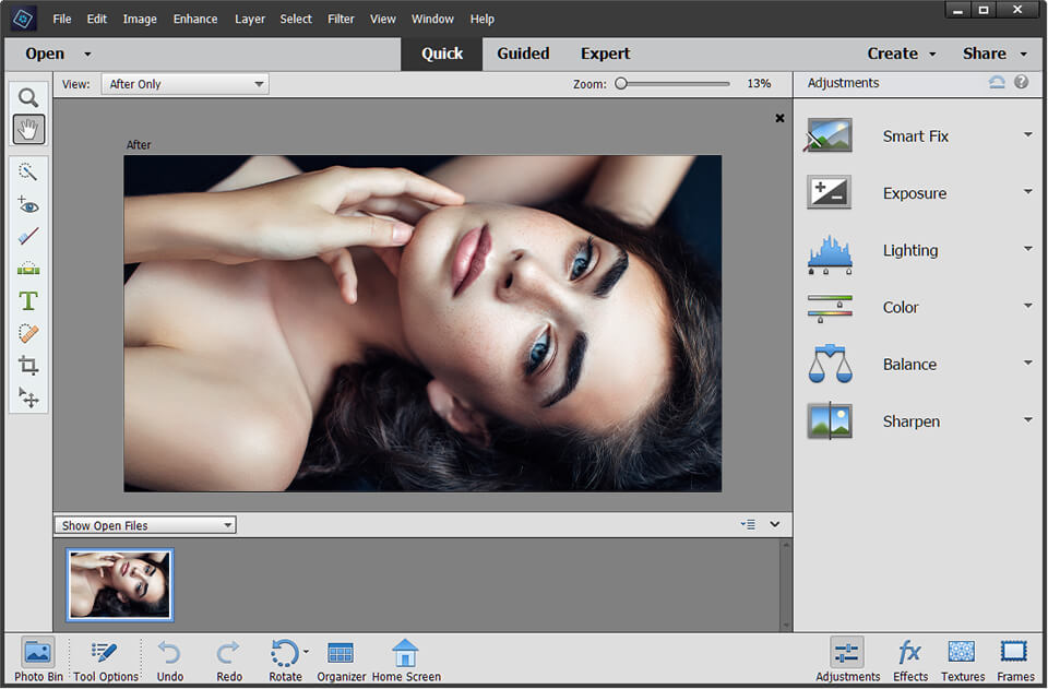 interface de photoshop elements