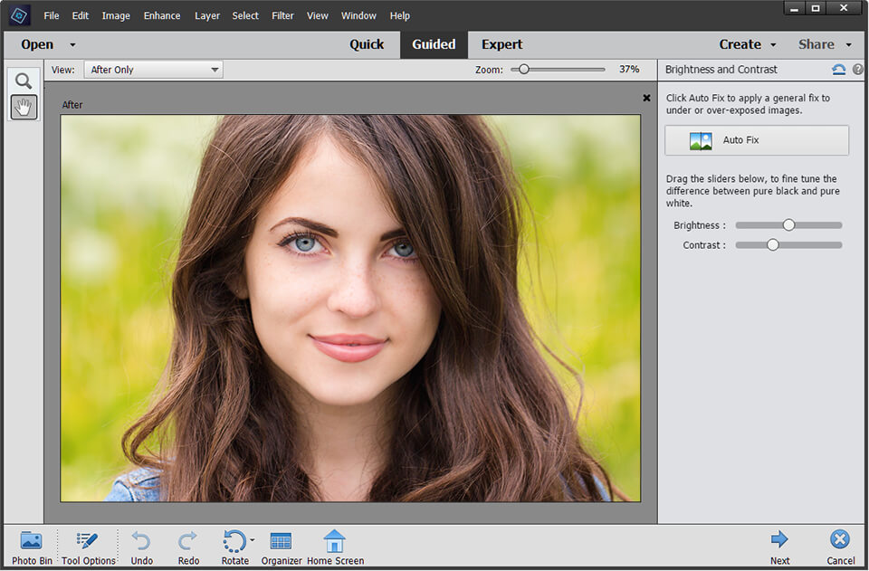 interface do photoshop elements
