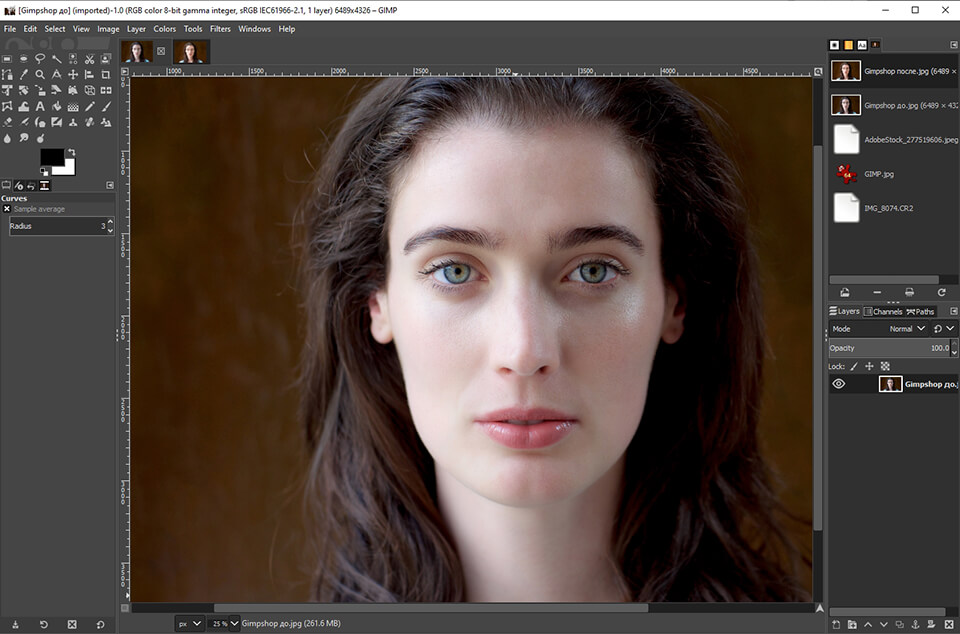 gimpshop editor foto gratis interfaccia