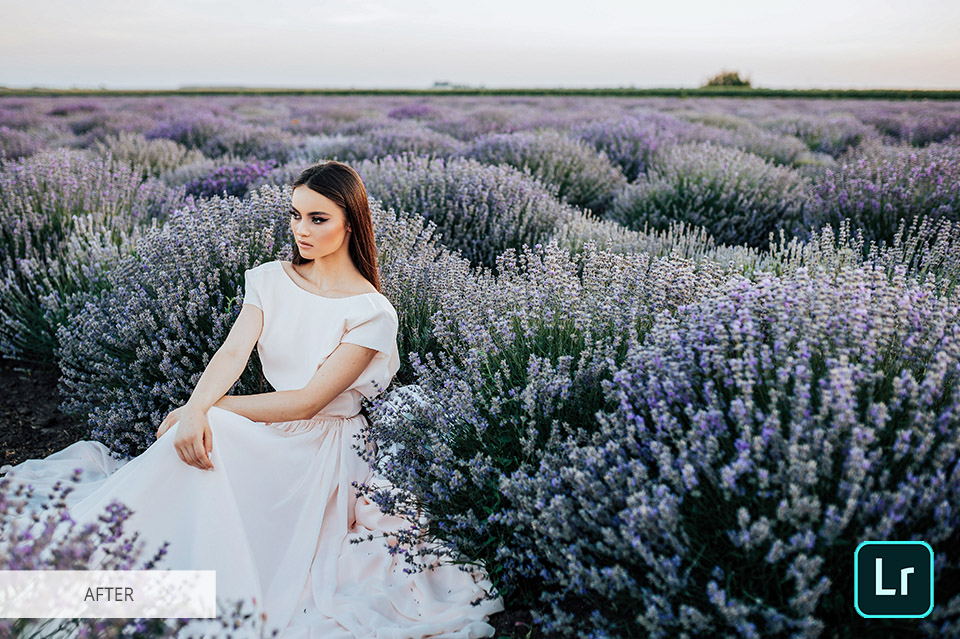 adobe lightroom foto editor alternative a photoshop gratis 