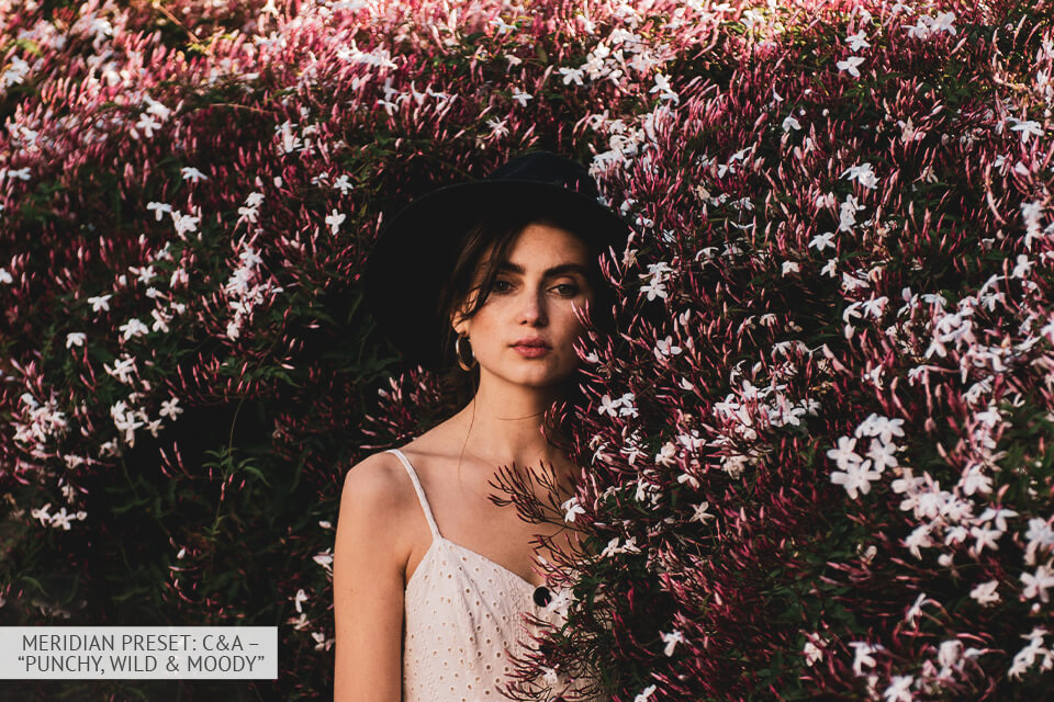 meridian cody and allison presets