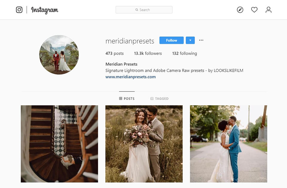 meridian presets instagram page