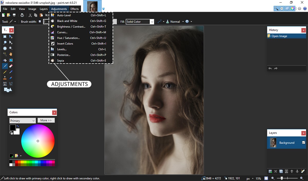 paint net photo editor correcting photo