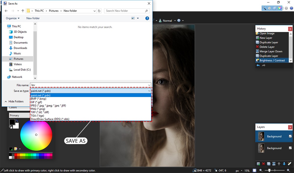 paint net photo editor image conservation